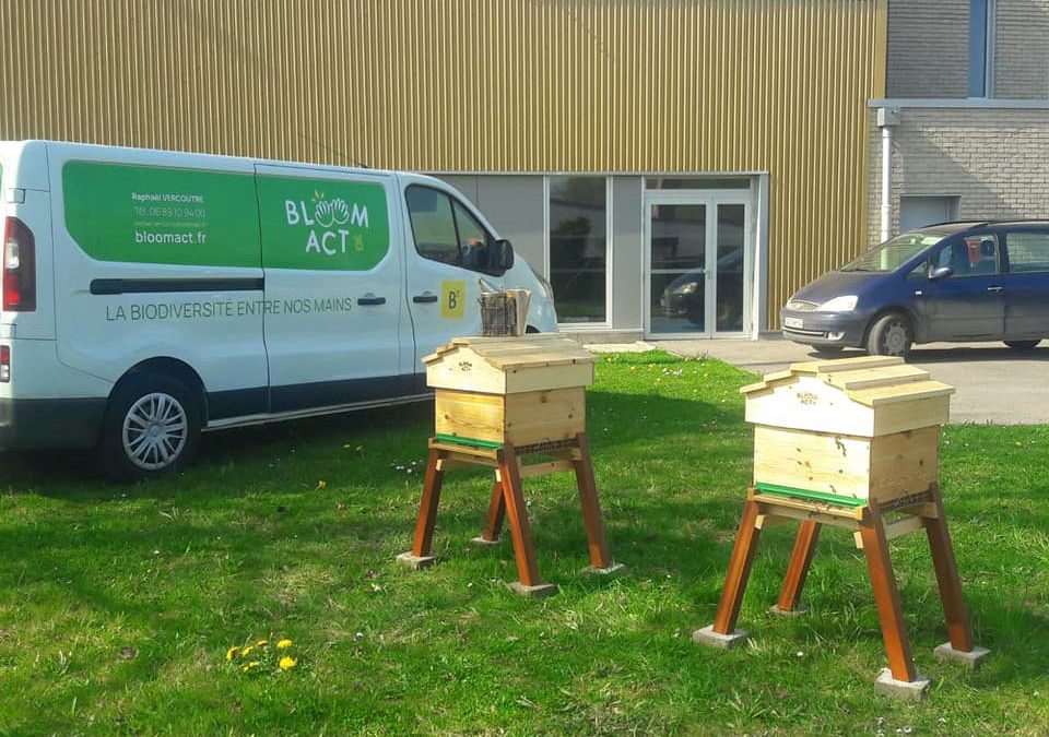 Première installation de ruches à Hulluch