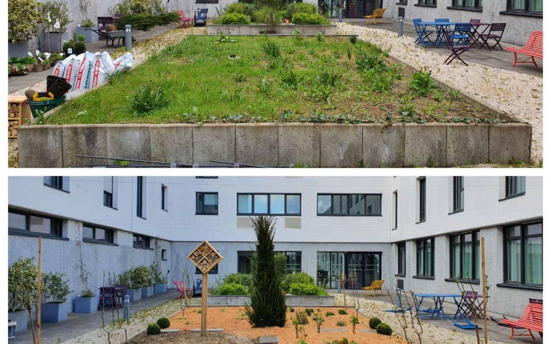 Projet global pour l&rsquo;ehpad saint francois de sales a capinghem