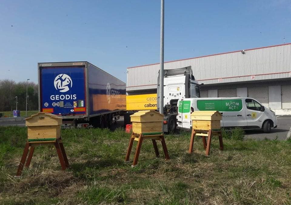 Installation de 3 ruches chez geodis lomme