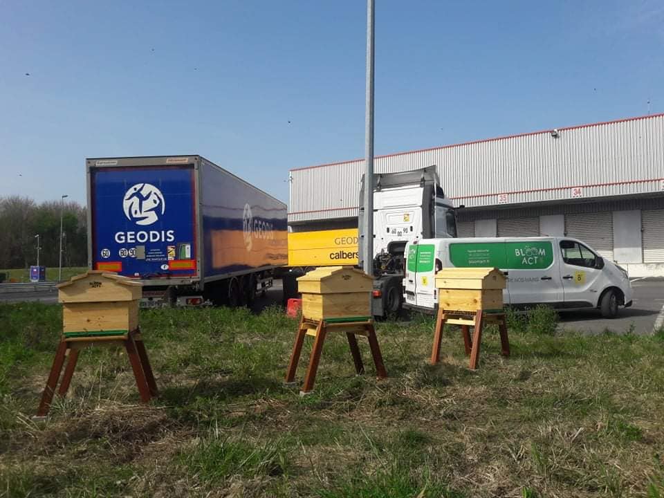 Géodis3