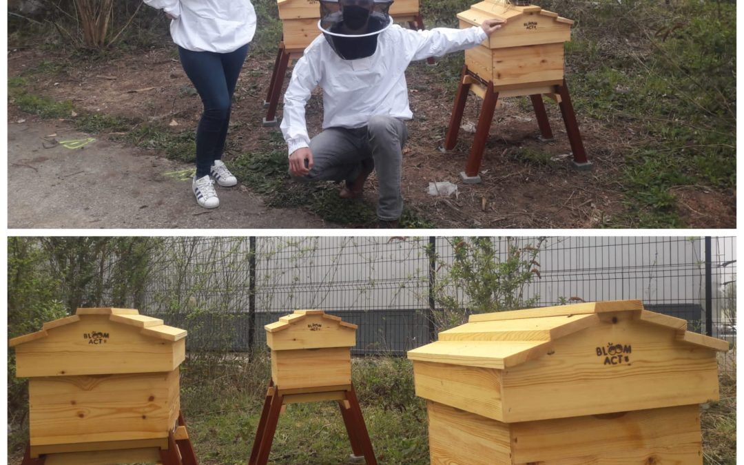 Installation de 3 ruches chez Ludina france