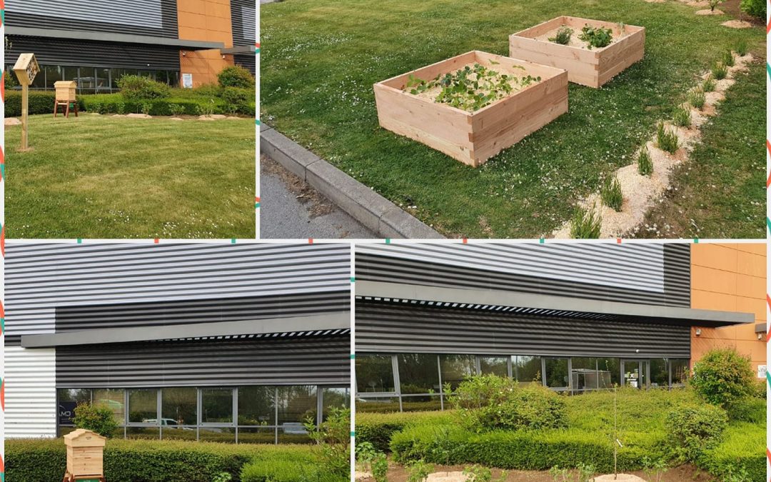 Carrés potagers et biodiversité chez heppner!