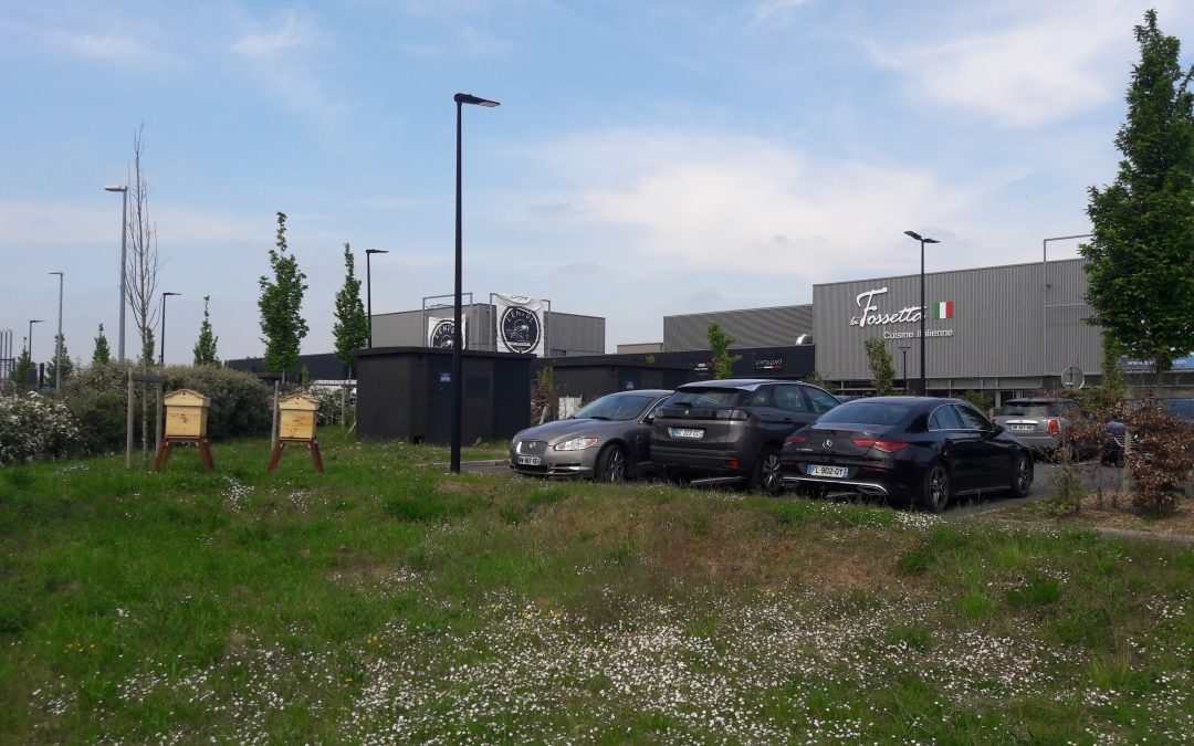 2 nouvelles ruches au parc vendôme de lesquin!
