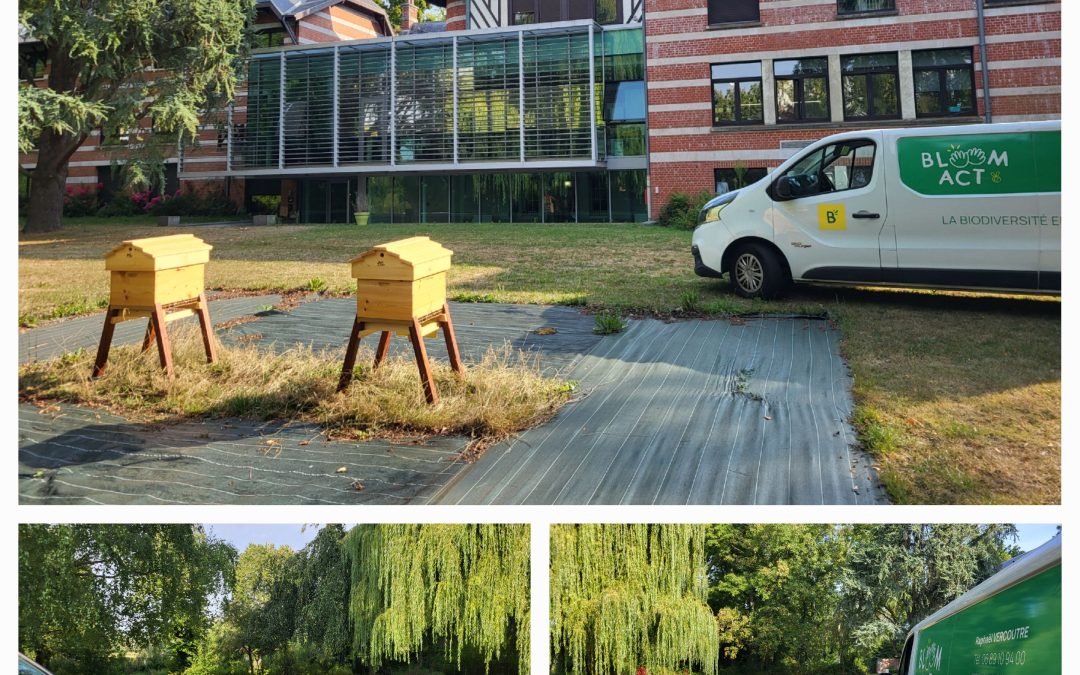 Nouvelle installation chez Pilliot assurances à aire/lys
